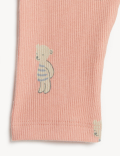 Cotton Rich Bear Leggings (7lbs -1 Yr)