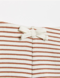 Cotton Rich Striped Bear Shorts
