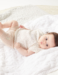 Cotton Rich Striped Bear Shorts