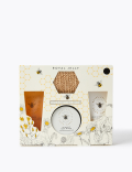 Bath & Body Collection