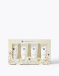 Hand & Nail Cream Collection