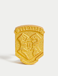 Harry Potter™ House Reveal Fizzer