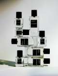 Wild Bergamot Eau De Parfum 100ml
