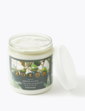 Greek Olive Body Butter 250ml
