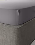 Cotton Rich Percale Fitted Sheet