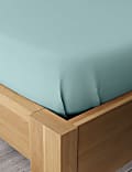 Drap plat en percale de coton