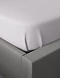 Cotton Rich Percale Flat Sheet