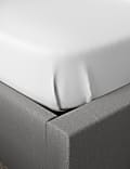 Cotton Rich Percale Flat Sheet