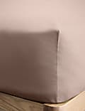 Cotton Rich Fitted Sheet
