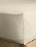 Cotton Rich Fitted Sheet