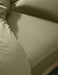 Cotton Rich Fitted Sheet