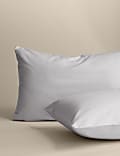 2pk Cotton Rich Pillowcases