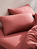 Lot de 2 taies d'oreiller en coton