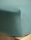 Cotton Rich Deep Fitted Sheet