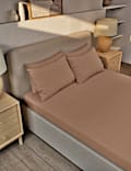 Pure Brushed Cotton Fitted Sheet