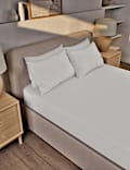 Pure Brushed Cotton Extra Deep Fitted Sheet