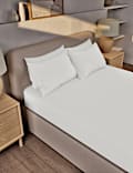 Pure Brushed Cotton Extra Deep Fitted Sheet