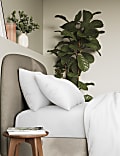 2pk Pure Cotton 300 Thread Count Pillowcases