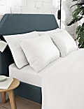 2pk Ultimate Anti Allergy Pure Cotton Pillowcases