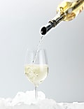 Wine Chiller & Pourer