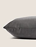 Velvet Cushion
