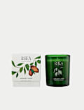 Rhea Scented Candle