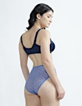 Lace Detail Spot Mesh Low-Rise Knickers
