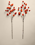 2pk Artificial Chinese Lantern Single Stems