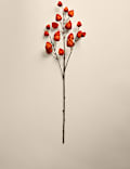 2pk Artificial Chinese Lantern Single Stems