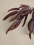 Set of 3 Artificial Eucalyptus Single Stems