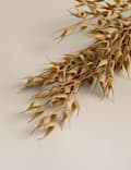 Set of 3 Artificial Ruscus Single Stems