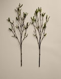 Set of 2 Trailing Catkin Single Stems