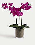 Artificial Real Touch Large Orchid in Glass Pot