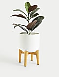 Medium Ceramic Planter with Stand