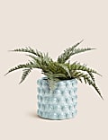 Medium Ceramic Bobble Planter