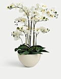 Artificial Extra Large Orchid in Ceramic Pot