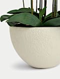 Artificial Extra Large Orchid in Ceramic Pot