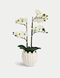 Artificial Orchid Arrangement in Ceramic Pot