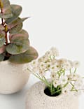 Set of 2 Artificial Plants in Pots