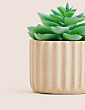 Artificial Mini Echeveria Succulent in Pot