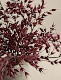 Artificial Ruscus Arrangement in Resin Pot