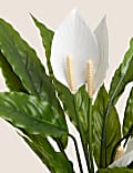 Artificial Peace Lily in Ceramic Pot