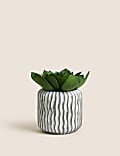 Artificial Succulent in Concrete Pot