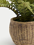 Artificial Fern Plant In Wicker Pot