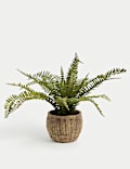 Artificial Fern Plant In Wicker Pot