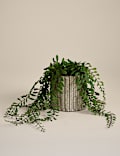 Artificial Trailing Fern in Ceramic Pot