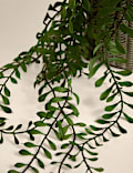 Artificial Trailing Fern in Ceramic Pot