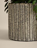 Artificial Trailing Fern in Ceramic Pot