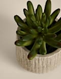 Artificial Mini Succulent in Textured Cement Pot