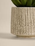 Artificial Mini Succulent in Textured Cement Pot
